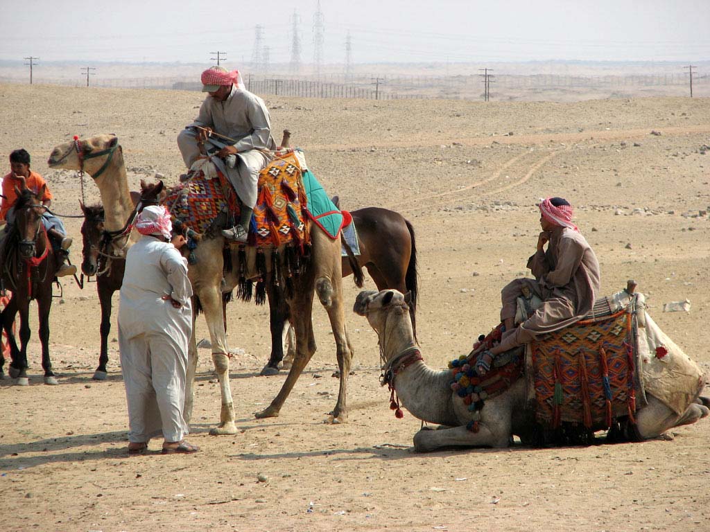 Preparing for Tourists near the Pyramids of Giza, Egypt